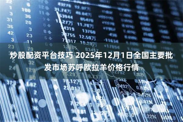 炒股配资平台技巧 2025年12月1日全国主要批发市场苏呼欧拉羊价格行情